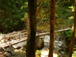 2013-07-20_Regina-F-Rau_Kochel-Rabenkopf (153).JPG